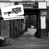 Arctic Monkeys image on tourvolume.com